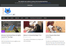 Tablet Screenshot of animal-space.net